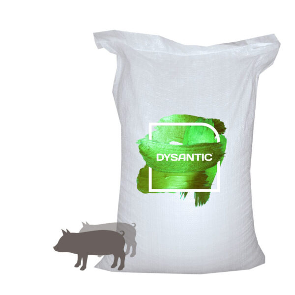 disantik-pigs